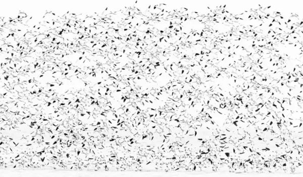 Grafisch