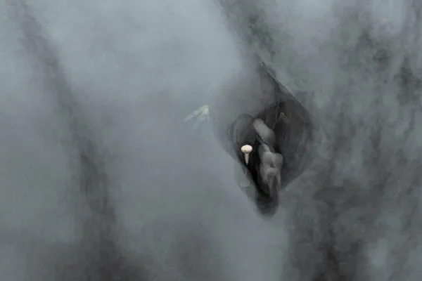 Abstracte vogel