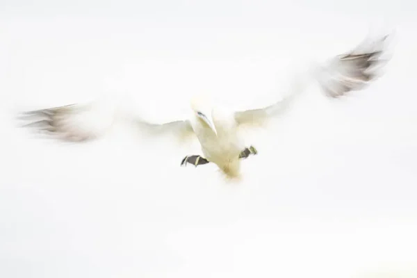 Landing