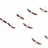 Een vlucht flamingo's