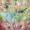 Kristalbloemen