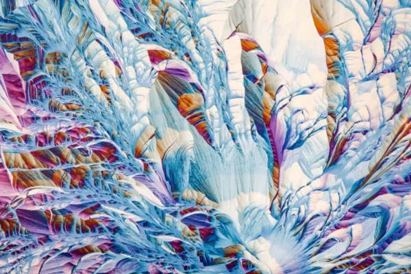 Abstracte planten