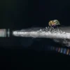 Bubble spin