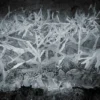 Abstracte boom