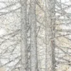 Bomen
