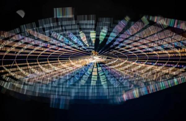 Het universum van een spin